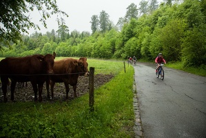 jlv2016 Sergi Magallon 0015